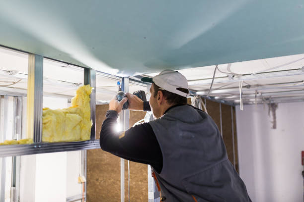 Best Insulation Contractors for Homes  in Land O Lakes, FL