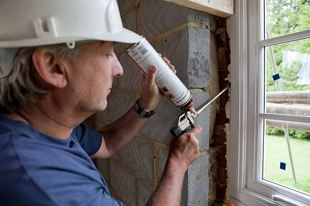 Best Insulation Replacement Services  in Land O Lakes, FL
